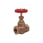 Bronze Globe Valve