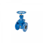 Gate Valve