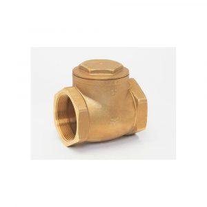 Swing Check Valve